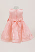 Satin Baby Girl Dress with Bow – Elegant Toddler Party & Special Occasion Dress 6-24Months