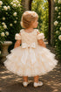Baby Girl 3D Rose Pearl Ruffled Organza Dress 3-24Months