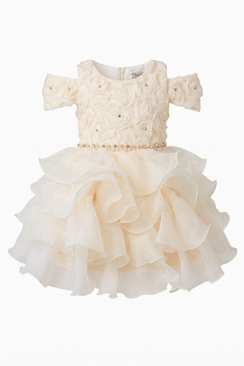 Baby Girl 3D Rose Pearl Ruffled Organza Dress 3-24Months