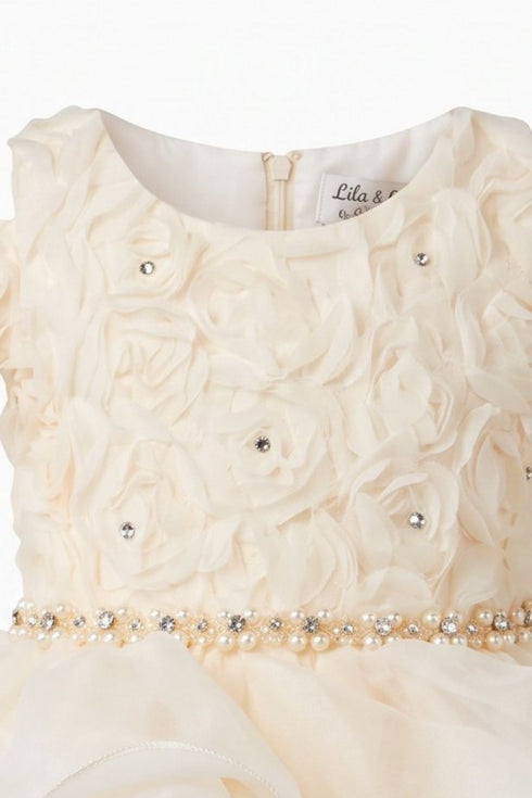 Baby Girl 3D Rose Pearl Ruffled Organza Dress 3-24Months
