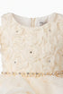 Baby Girl 3D Rose Pearl Ruffled Organza Dress 3-24Months