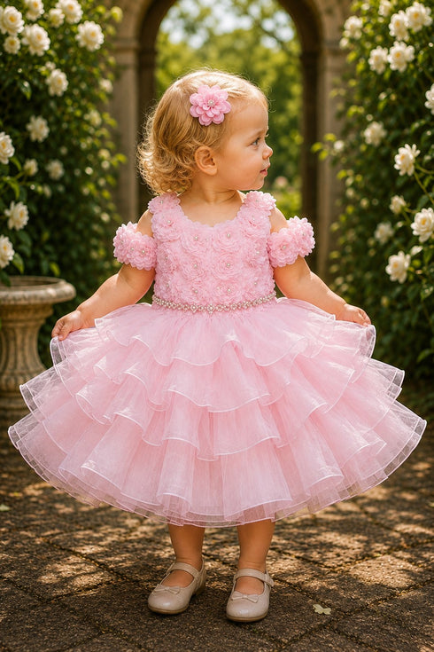 Baby Girl 3D Rose Pearl Ruffled Organza Dress 3-24Months