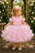 Baby Girl 3D Rose Pearl Ruffled Organza Dress 3-24Months