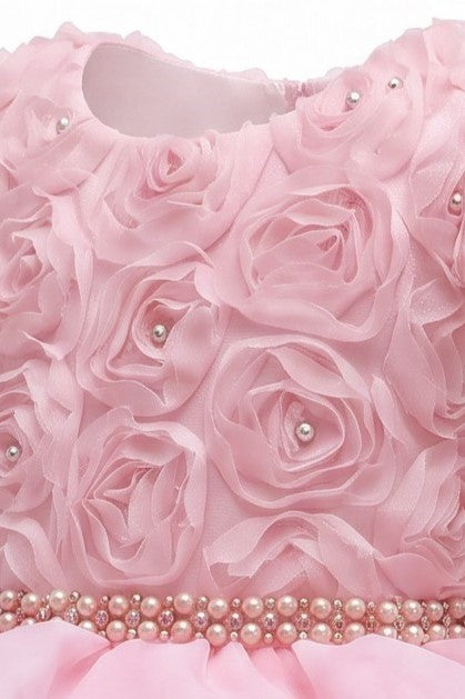 Baby Girl 3D Rose Pearl Ruffled Organza Dress 3-24Months