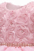 Baby Girl 3D Rose Pearl Ruffled Organza Dress 3-24Months