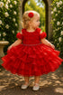 Baby Girl 3D Rose Pearl Ruffled Organza Dress 3-24Months