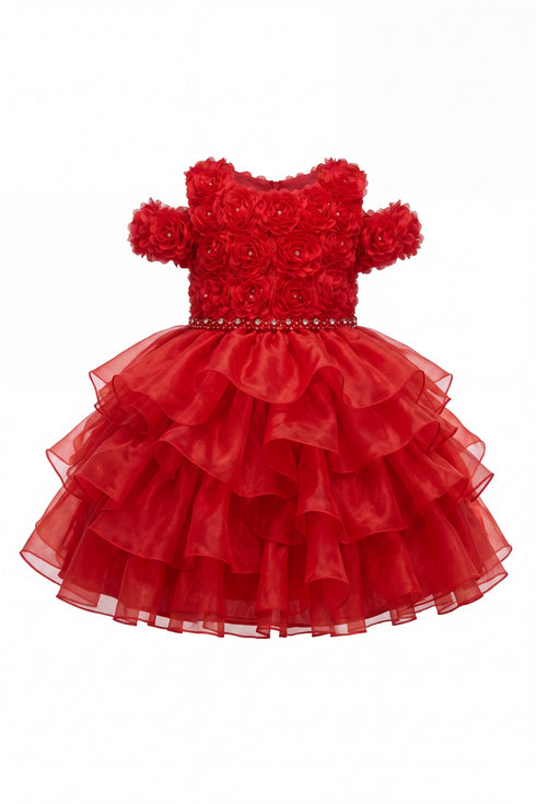 Baby Girl 3D Rose Pearl Ruffled Organza Dress 3-24Months