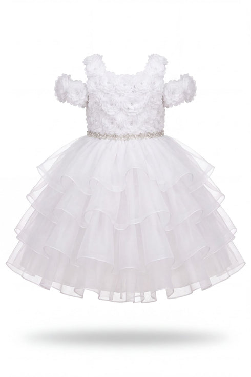 Baby Girl 3D Rose Pearl Ruffled Organza Dress 3-24Months