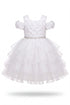 Baby Girl 3D Rose Pearl Ruffled Organza Dress 3-24Months