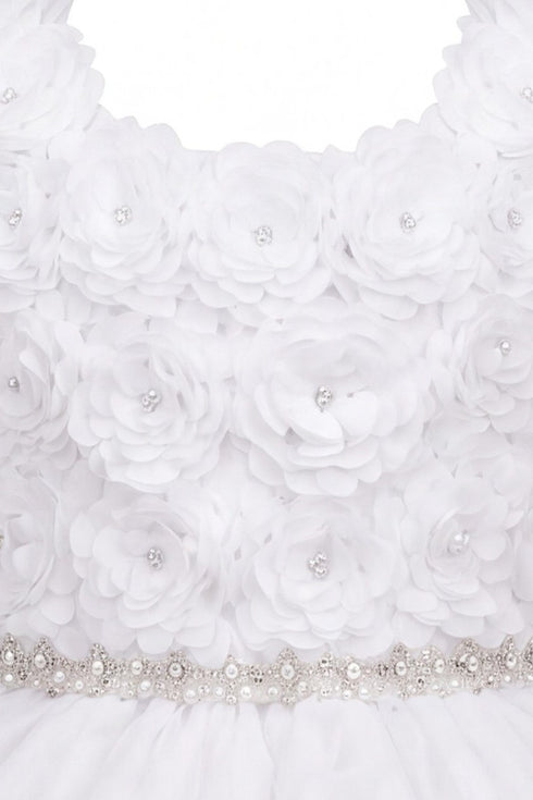 Baby Girl 3D Rose Pearl Ruffled Organza Dress 3-24Months