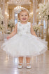 Baby Girl Butterfly Ruffled Organza Dress with Hair Clip 6-24Months