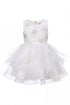 Baby Girl Butterfly Ruffled Organza Dress with Hair Clip 6-24Months