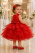 Baby Girl Butterfly Ruffled Organza Dress with Hair Clip 6-24Months