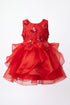 Baby Girl Butterfly Ruffled Organza Dress with Hair Clip 6-24Months