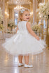 Baby Girl Butterfly Ruffled Organza Dress with Hair Clip 6-24Months