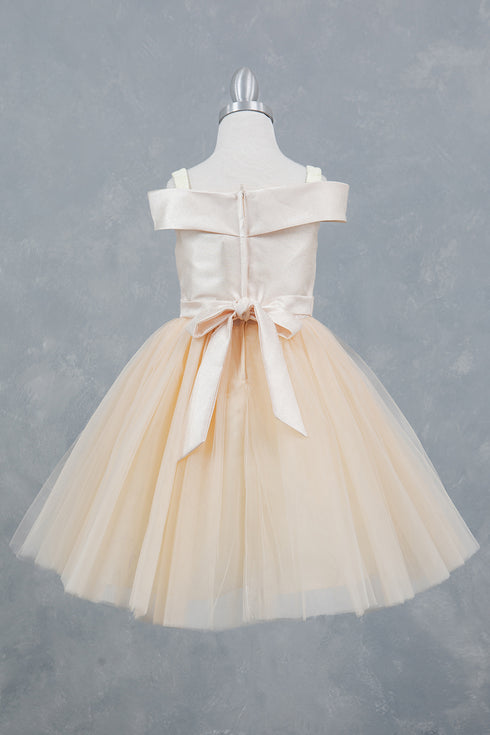 Elegant Princess Party Dress for Girls 2-12