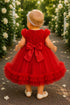 Baby Girls Floral Tulle Dress with Headband 6-24 Months