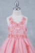 Butterfly Princess Dress for Girls 2-12