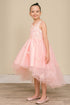Butterfly Princess Dress for Girls 2-12