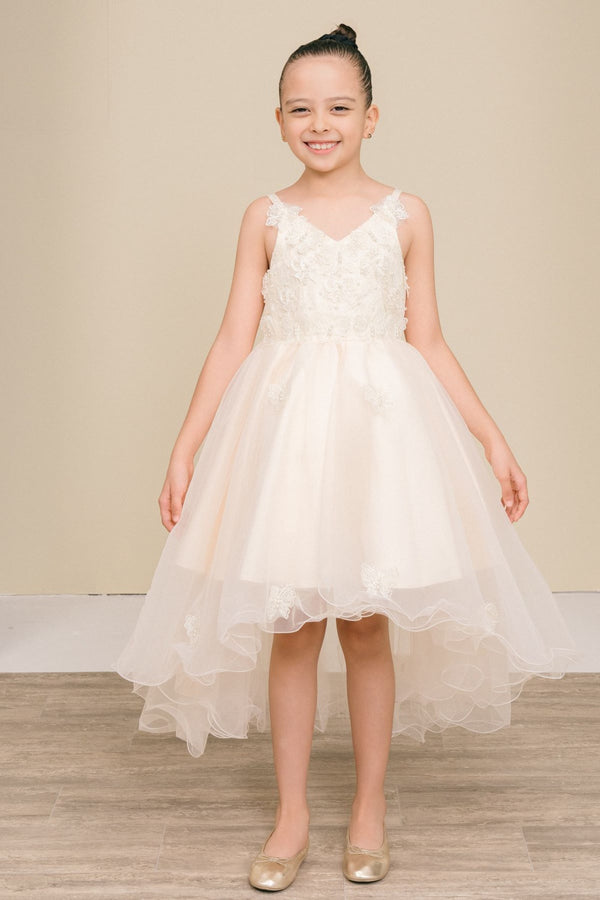 Butterfly Princess Dress for Girls 2-12