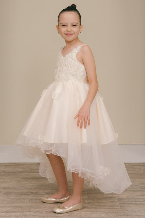 Butterfly Princess Dress for Girls 2-12