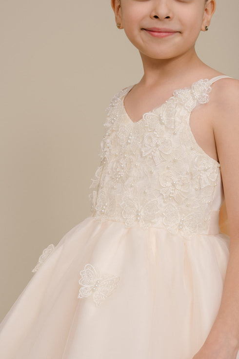 Butterfly Princess Dress for Girls 2-12