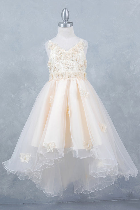 Butterfly Princess Dress for Girls 2-12