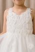 Butterfly Princess Dress for Girls 2-12