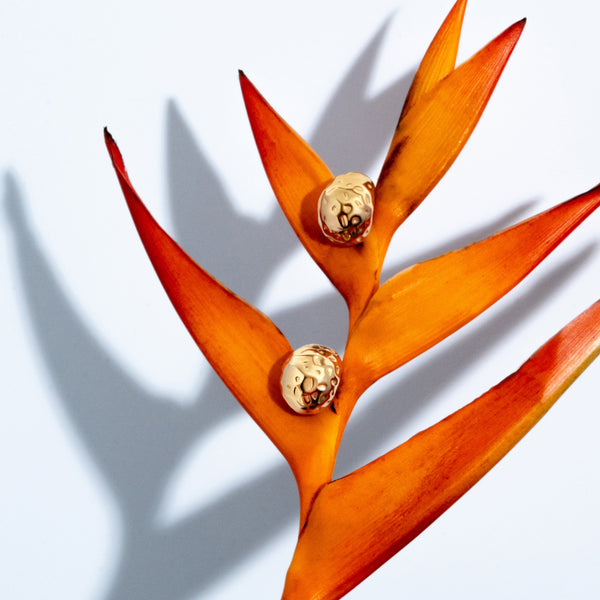 collins-gold-earrings-Sophia's StyleEarrings-1