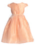 Girls Multi Color Embroidery Junior Bridesmaid Easter Dress 2T-14