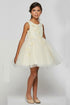 Little Girls Champagne 3D Floral Appliques Soft Tulle Flower Girl Dress 2-6 - SophiasStyle.com