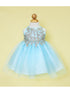Baby Girls Light Blue Gold Lace Embroidered Tulle Flower Girl Dress 6-24M SophiasStyle.com