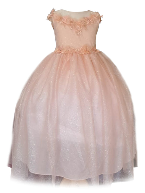 Little Girls Blush Illusion Neckline Floral Applique Glitter Tulle Dress 2-6 - SophiasStyle.com