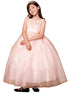 Big Girls Blush Illusion Neckline Floral Applique Glitter Tulle Dress 8-16 - SophiasStyle.com