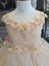 Big Girls Champagne Illusion Neckline Floral Applique Glitter Tulle Dress 8-16 - SophiasStyle.com