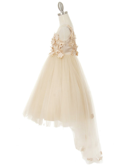Girls Multi Color Lace 3D Flowers Pearl Trim Tulle Special Occasion Dress 2-16 - SophiasStyle.com