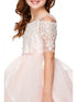 Girls Multi Color Off-Shoulder Rhinestone Pearled Lace Flower Girl Dress 2-16 - SophiasStyle.com