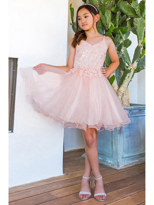 Girls Blush Illusion Sparkly Tulle Special Occasion Dress 4-16 - SophiasStyle.com model 2