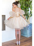Girls Champagne Gold Lace Glitter Tulle Flower Girl Party Dress 2-16 - SophiasStyle.com back