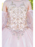 Girls Blush Mini Quinceaneara Glitter Tulle Ball Gown Dress 2-16 detail - SophiasStyle