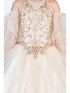 Girls Champagne Mini Quinceaneara Glitter Tulle Ball Gown Dress detail 2-16 - SophiasStyle
