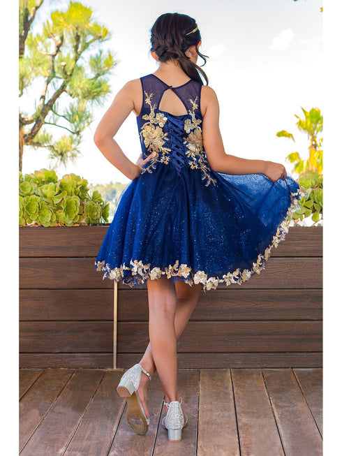 Girls Navy Satin Glitter Tulle Gold Lace Party Dress 2-16 - SophiasStyle.com back