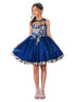 Girls Multi Color Satin Glitter Tulle Gold Lace Flower Girl Party Dress 2-16 - SophiasStyle.com