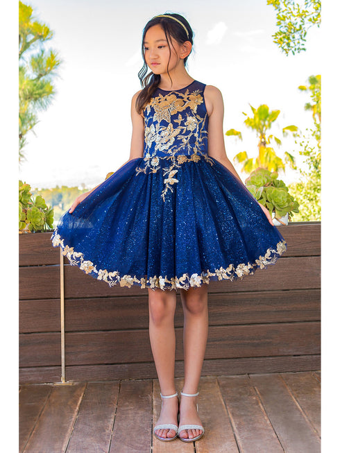 Girls Navy Satin Glitter Tulle Gold Lace Party Dress 2-16 - SophiasStyle.com model 3