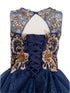 Girls Navy Illusion Two Tone Golden Lace Glittered Tulle Party Dress, Sizes 2-16 - SophiasStyle.com