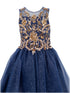Girls Navy Illusion Two Tone Golden Lace Glittered Tulle Party Dress, Sizes 2-16 - SophiasStyle.com