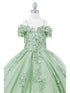 Girls Bliss Multi Color Sweetheart Sequin Glitter Lace Train Ball Gown 2-16 - SophiasStyle.com