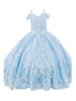Bliss Girls 3D Puff Print Effect Glitter Tulle Ball Gown, Sizes 2-16 - SophiasStyle.com