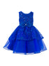 Girls Multi Color Lala & Erina Sequin Ribbon Adorned Flower Girl Dress 2-12 - SophiasStyle.com