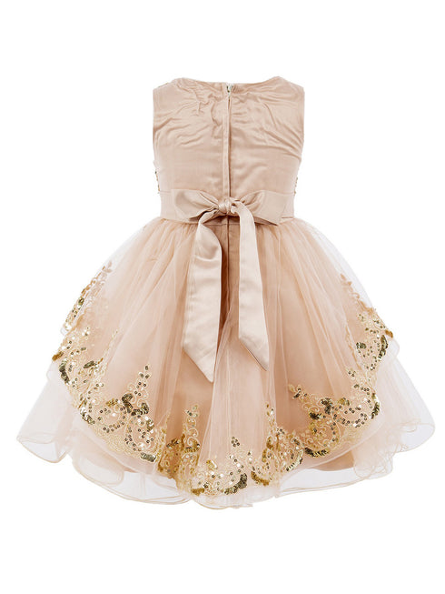Girls Multi Color Lala & Erina Sleeveless Sequin Lace Flower Girl Dress 2-12 - SophiasStyle.com